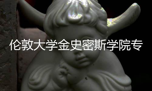伦敦大学金史密斯学院专业设置及课程优势
