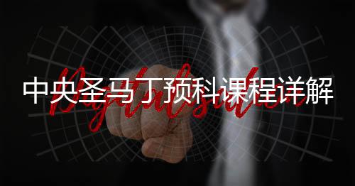 中央圣马丁预科课程详解