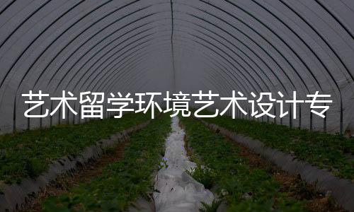 艺术留学环境艺术设计专业介绍