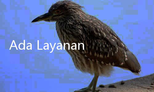 Ada Layanan Paspor di CFD 28 Januari 2024, Cek Cara Daftarnya