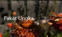Pakar Ungkap Urgensi RUU Penilai untuk Lindungi Profesi dan Dorong Nilai Tambah Aset